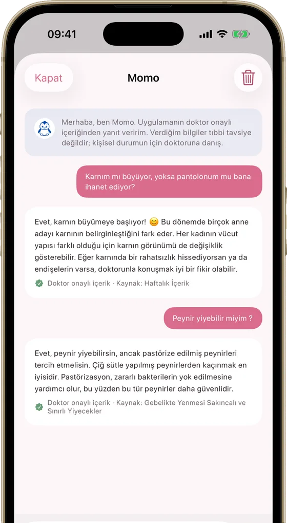 Momly gebelik asistanı Momo ile bir sohbet: cevabın hangi uygulama içi rehberden geldiğini gösteren notla birlikte